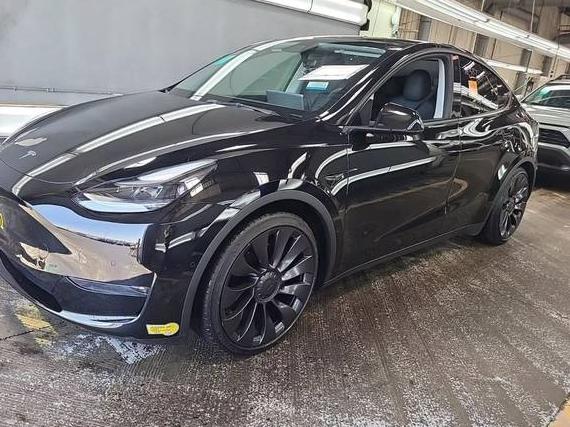 TESLA MODEL Y 2022 7SAYGDEF9NF490579 image